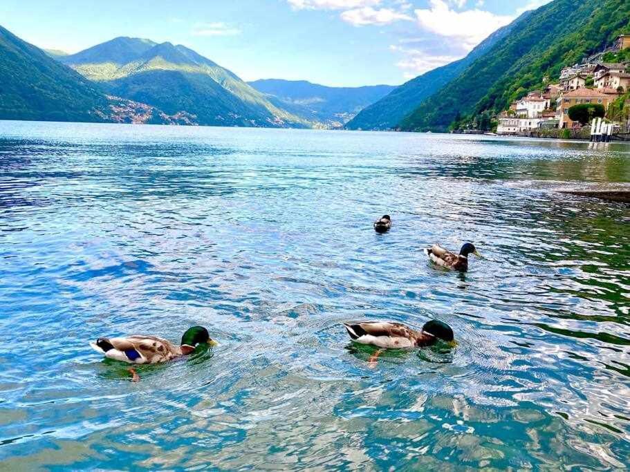 Una Finestra Sul Lago Argegno Buitenkant foto